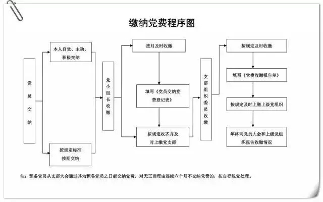 缴纳党费程序图