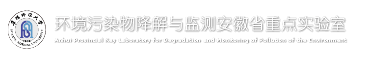 环境污染物降解与监测安徽省重点实验室